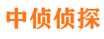 平陆市私家侦探